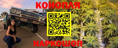 прущие крисы Можга