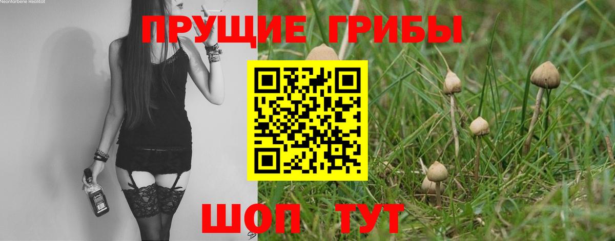 Псилоцибиновые грибы Psilocybe  Вход с VPN  цена наркотик  Калининград 